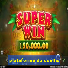 plataforma do coelho